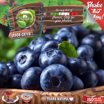 Natura Premium MIX and SHAKE Short Fill 60+40ml - Forest blueberries